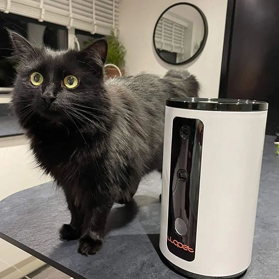 Pet24